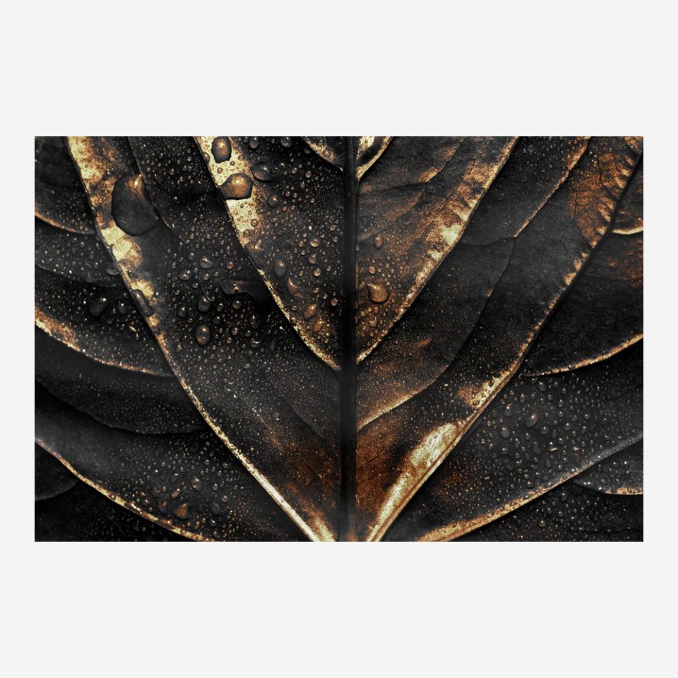 Стъклена картина - Botanical 1