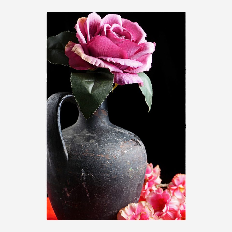 Стъклена картина - Botanical 13