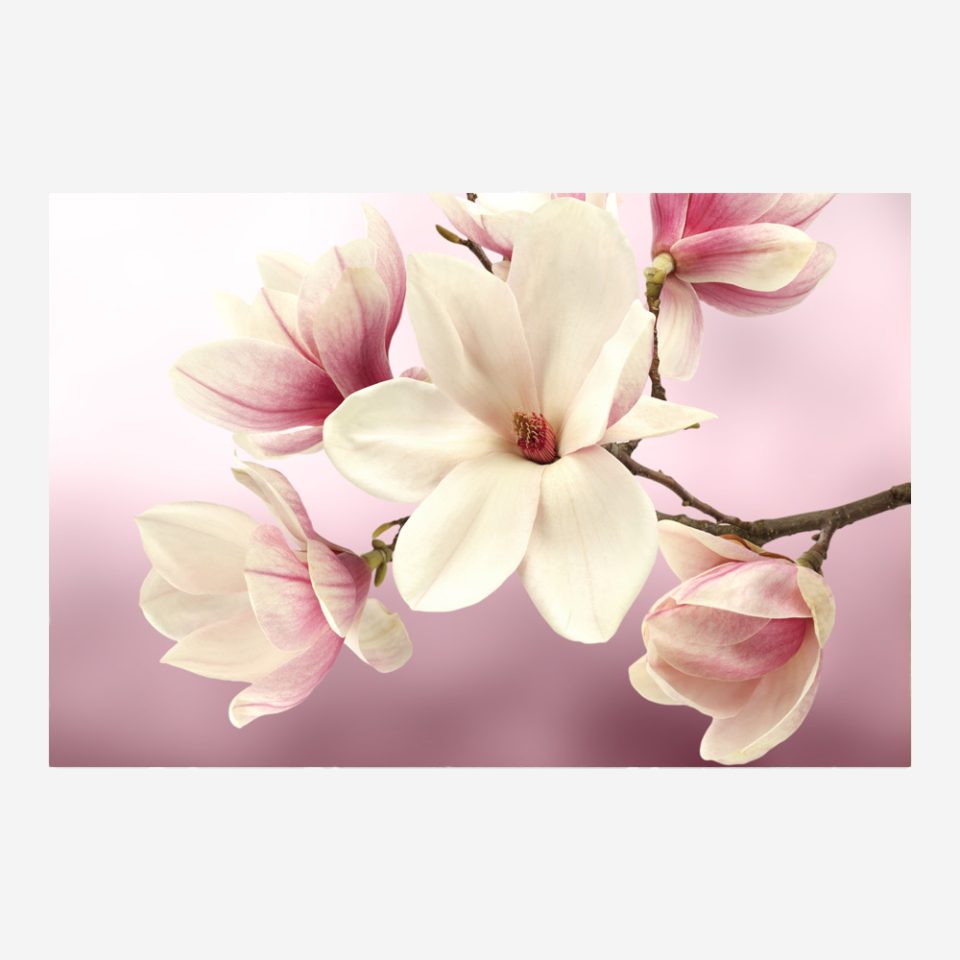 Стъклена картина - Botanical 3