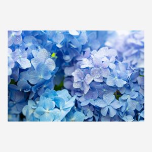 stuklena-kartina-botanical-7